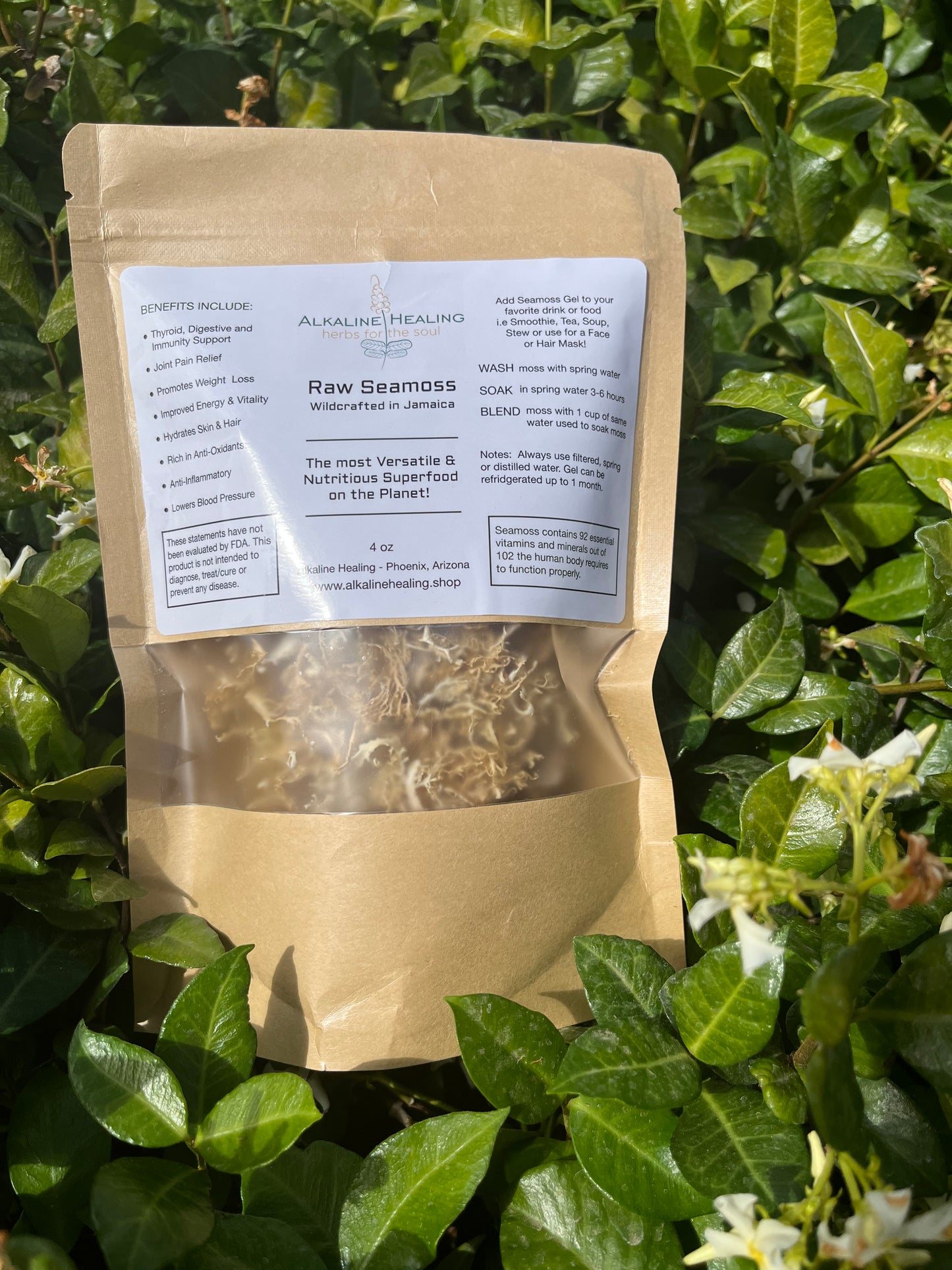 Raw Seamoss - Alkaline Healing