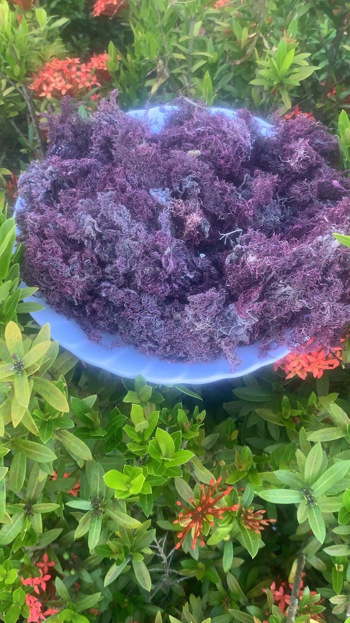 Purple Seamoss - Alkaline Healing